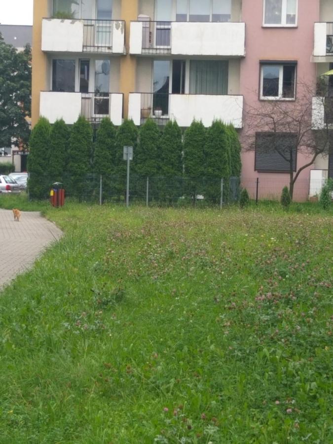 Apartament Z Ogrodem Tychy Exterior photo
